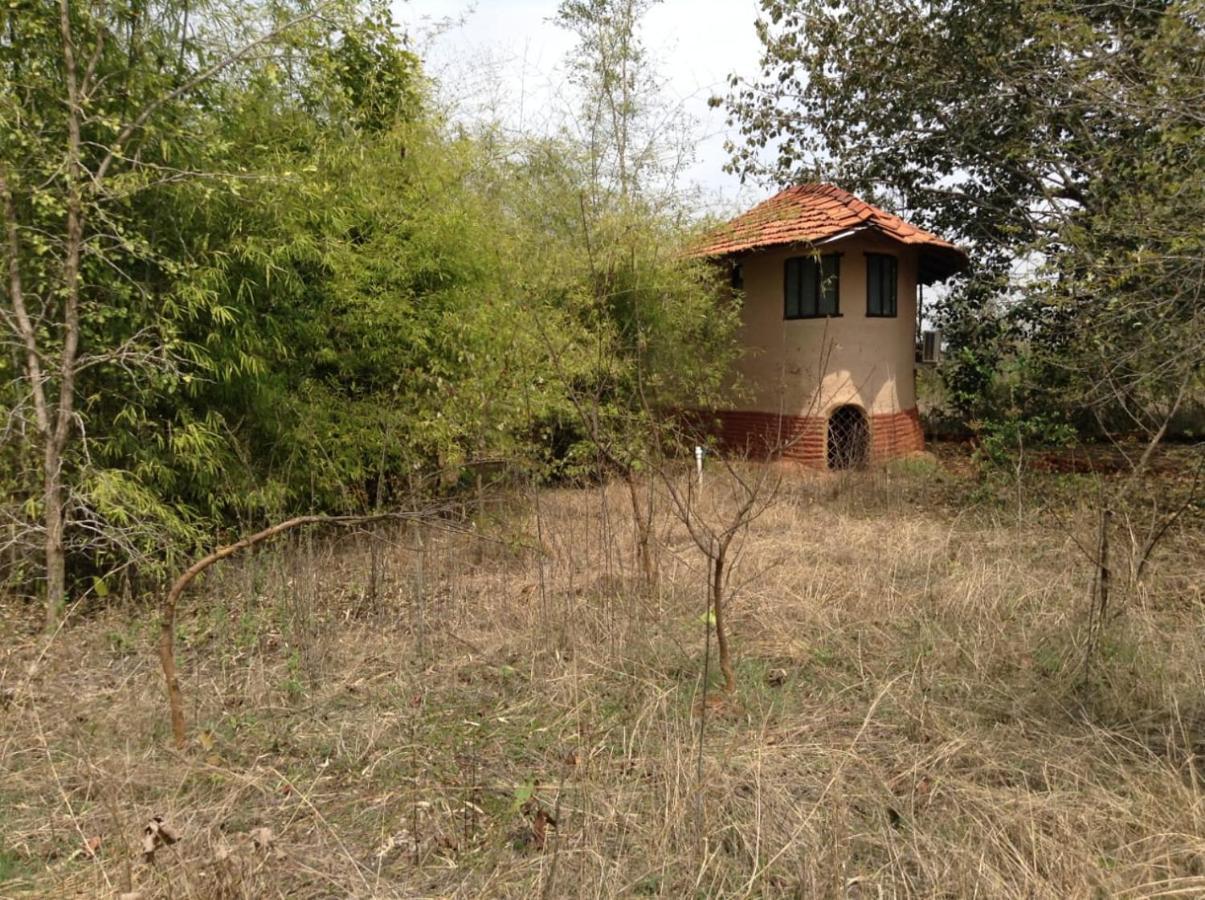 Monsoon Forest Tāla Εξωτερικό φωτογραφία